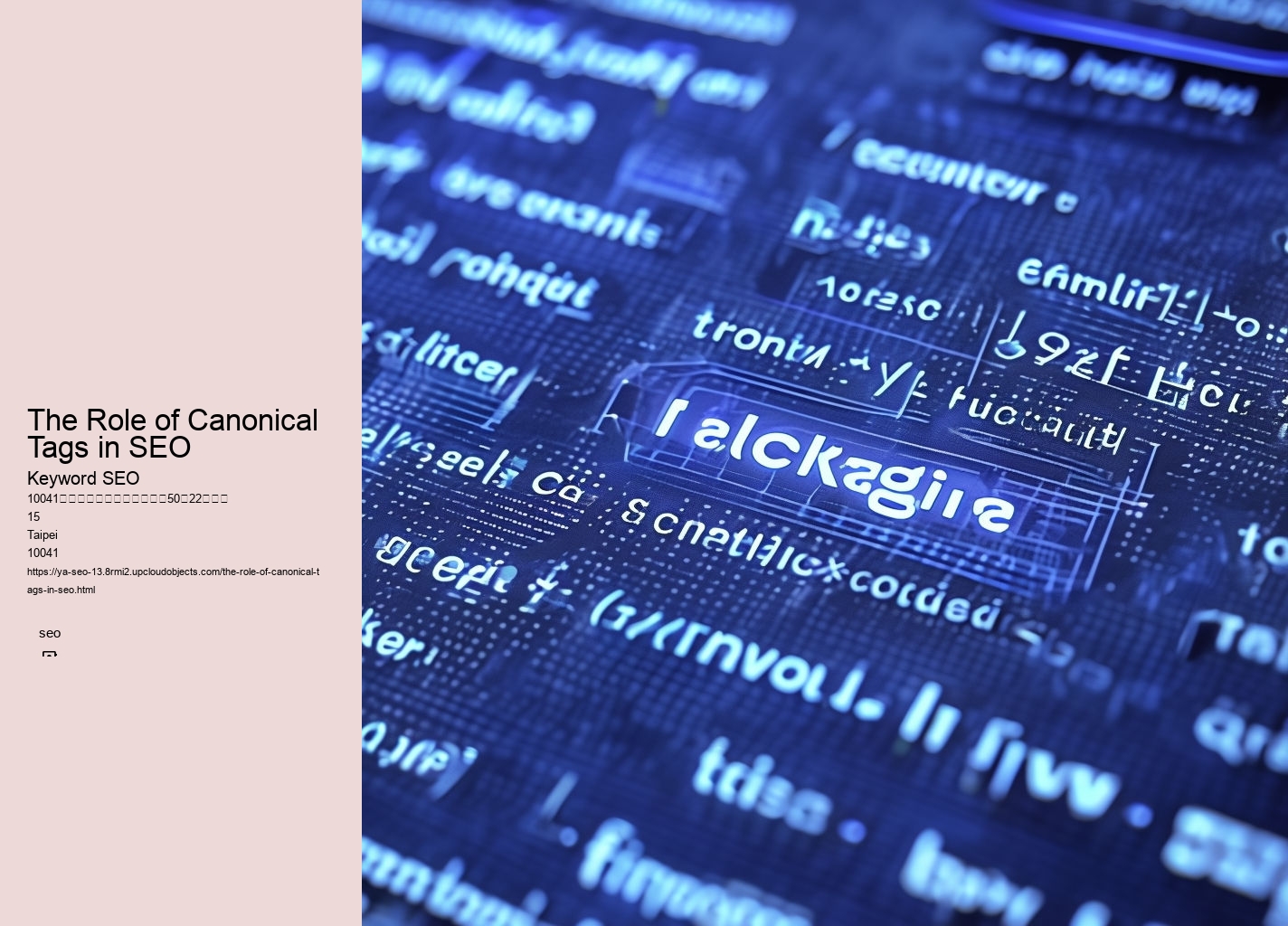 The Role of Canonical Tags in SEO